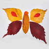 Бабочка из разных осенних листочков
